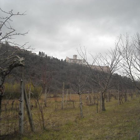 Camere Le Cascatelle Assisi Kültér fotó