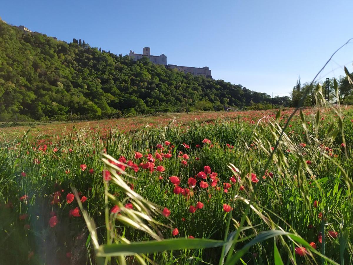Camere Le Cascatelle Assisi Kültér fotó