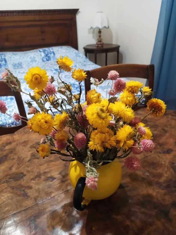Camere Le Cascatelle Assisi Kültér fotó