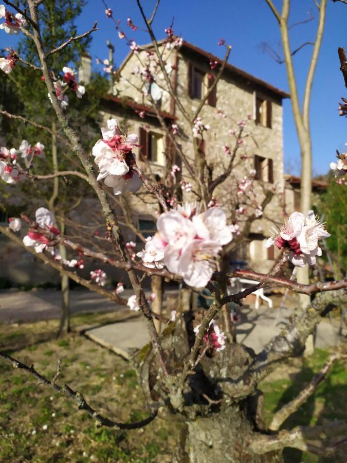 Camere Le Cascatelle Assisi Kültér fotó