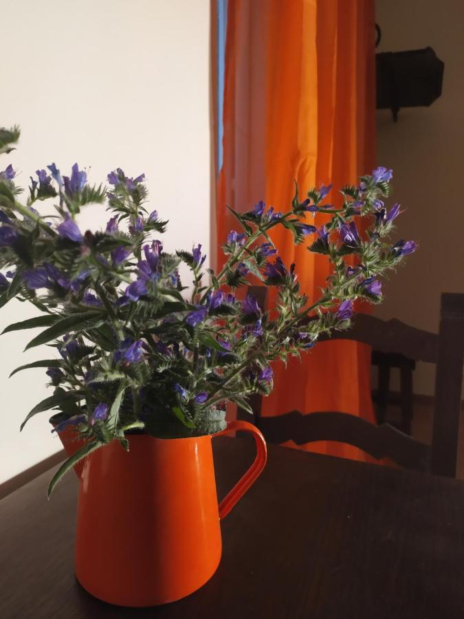 Camere Le Cascatelle Assisi Kültér fotó