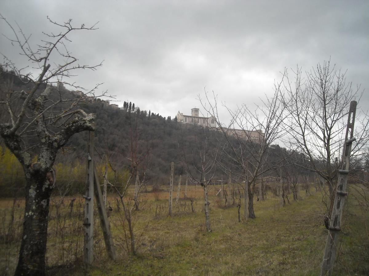 Camere Le Cascatelle Assisi Kültér fotó